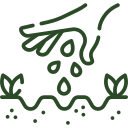 growing-seed